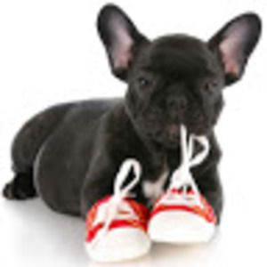 Meet your Posher, Tamia